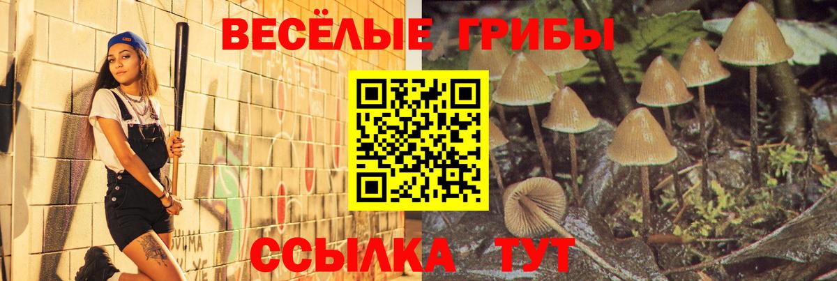 Псилоцибиновые грибы мицелий  Вход с VPN  Псилоцибиновые грибы GOLDEN TEACHER  Алейск 